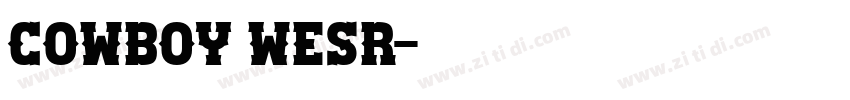 cowboy wesr字体转换